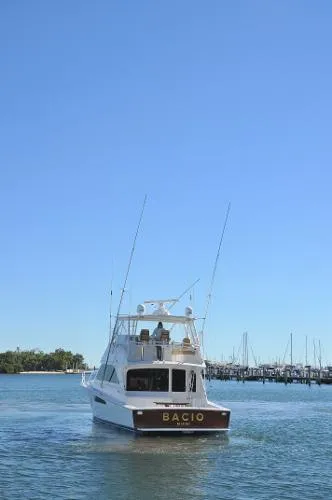 Slide: The Image of Viking 45 Convertible 2003 - 4
