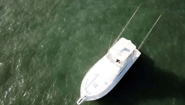 Slide: The Image of Bertram 410 Sportfish 2010 - 7
