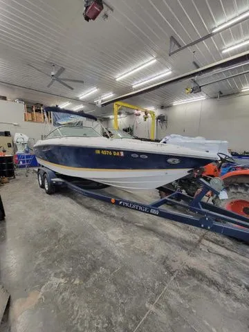 The Image of Cobalt 220 2006 - 1