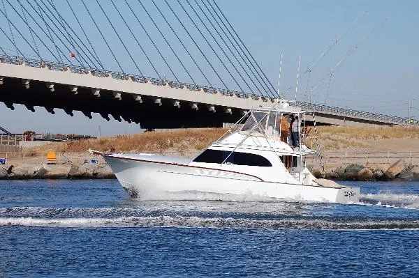 Slide: The Image of Buddy Davis 50 Sportfish 1984 - 5