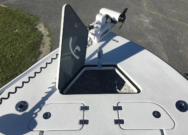 Slide: The Image of Young Boats 26 Gulfshore Custom 2019 - 5
