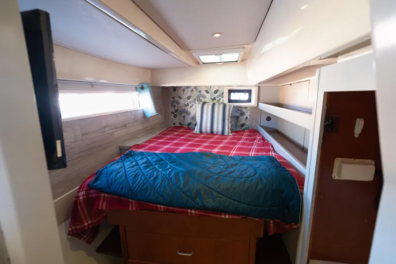 Slide: The Image of Leopard 48 2013 - 59