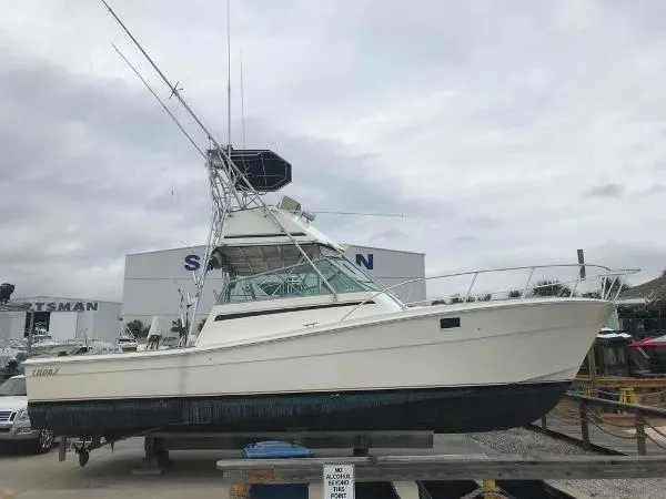 Slide: The Image of Topaz Sportfish 1987 - 0