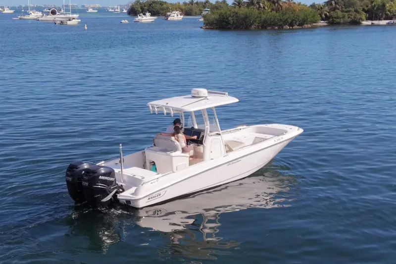 Slide: The Image of 2018 Boston Whaler 270 Dauntless boat cruising on a serene lake. - 10