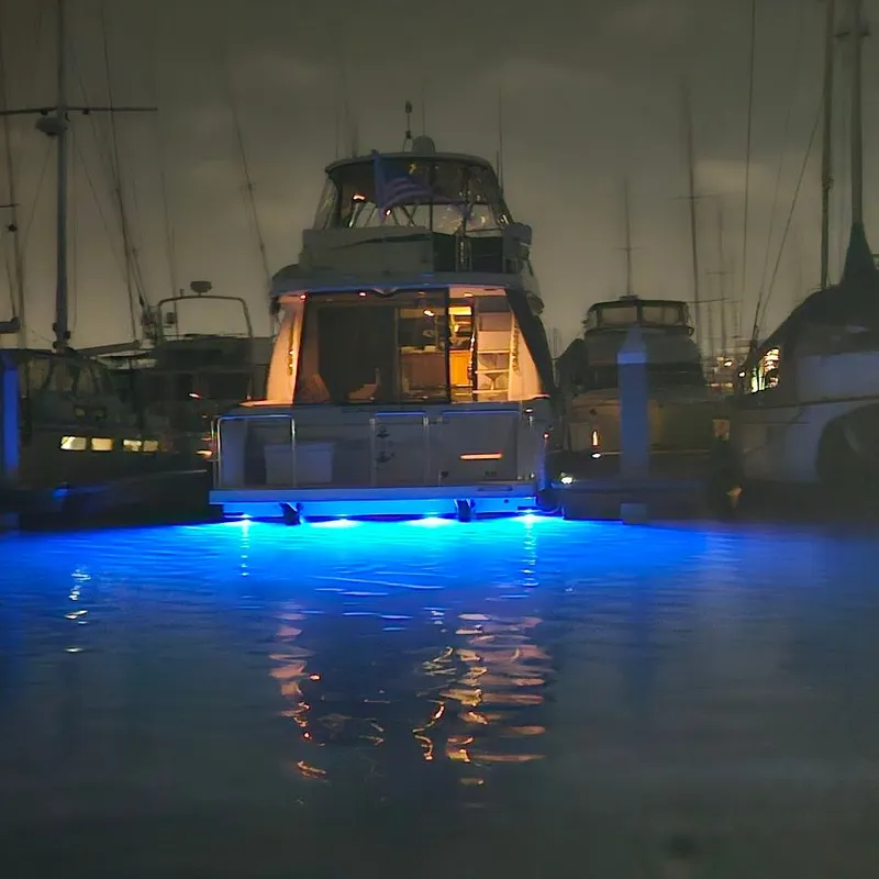 Slide: The Image of Carver Yachts 560 Voyager 2006 - 58