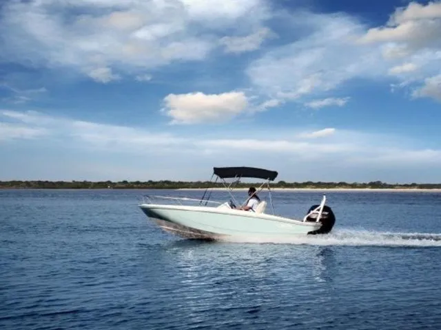 The Image of Boston Whaler 160 Super Sport 2019 - 1