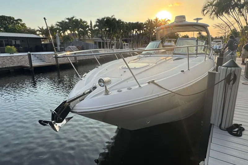 The Image of 2007 Sea Ray Sundancer 310 docked at sunset, surrounded by palm trees. - 0