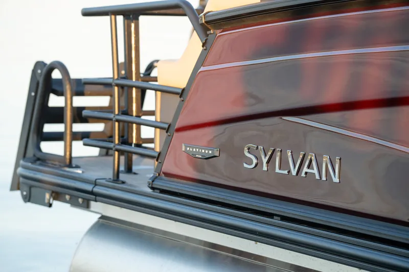 Slide: The Image of Sylvan L3 LZ Platinum 2026 - 11