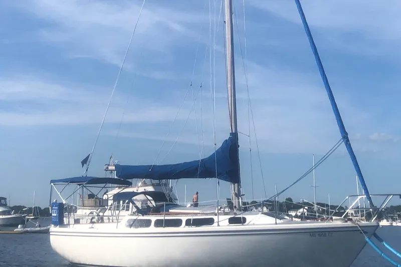 Slide: The Image of 1981 Catalina 30 sailboat with blue cover docked on a sunny day. - 8