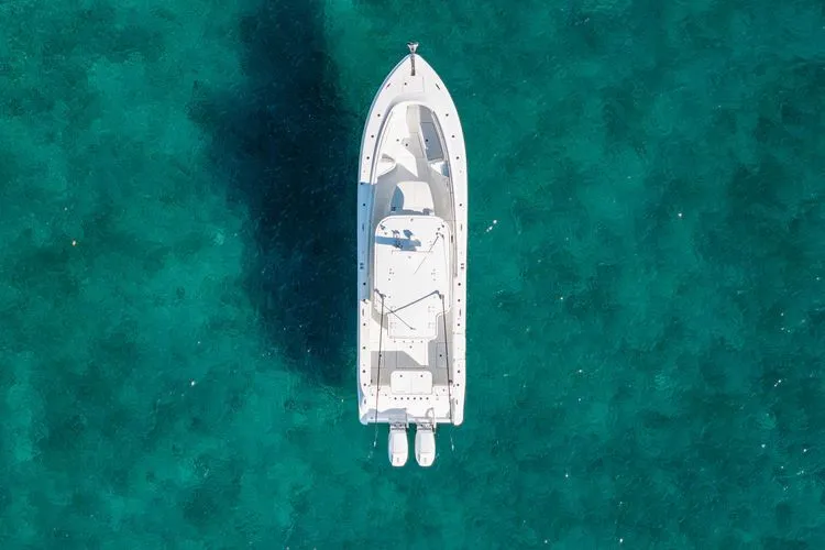 Slide: The Image of 2024 Hcb 39 Speciale - Image 31 - 31