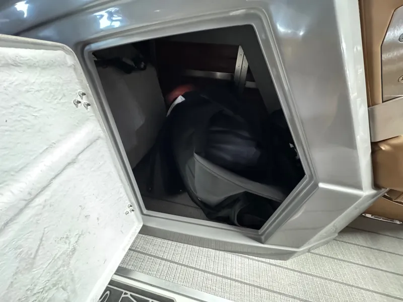 Slide: The Image of Sylvan G3 DLZ DC 2026 - 11