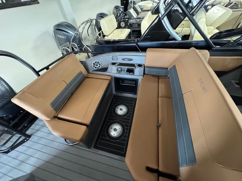 Slide: The Image of Sylvan G3 DLZ DC 2026 - 7