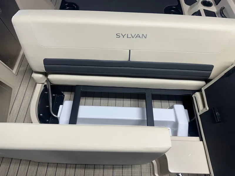 Slide: The Image of Sylvan G3 DLZ DC 2026 - 17