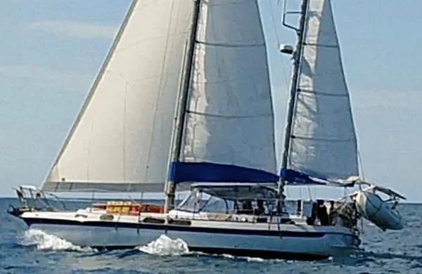 Slide: The Image of Morgan Out Island 41 1972 - 1