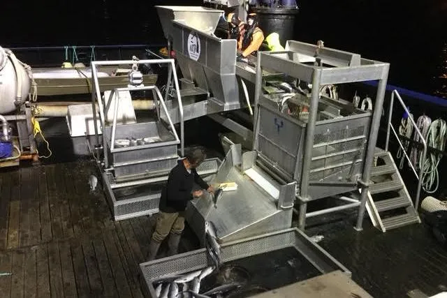 Slide: The Image of 1974 Custom Steel Cannery Tender with workers processing fish on deck at night. - 22