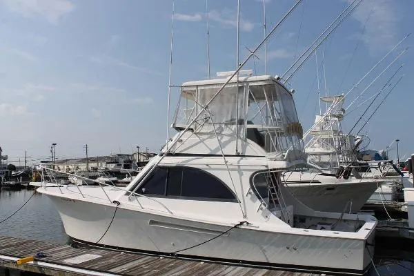 Slide: The Image of Jersey 36 Convertible 1992 - 0