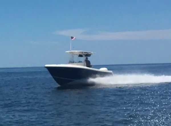 Slide: The Image of Sailfish 240 CC 2016 - 1