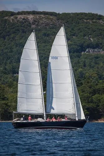 Slide: The Image of Lyman-Morse Cat Ketch 1984 - 1