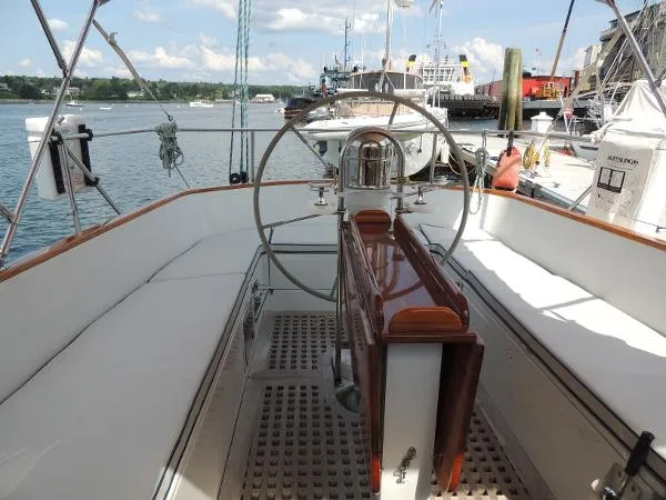 Slide: The Image of Lyman-Morse Cat Ketch 1984 - 10