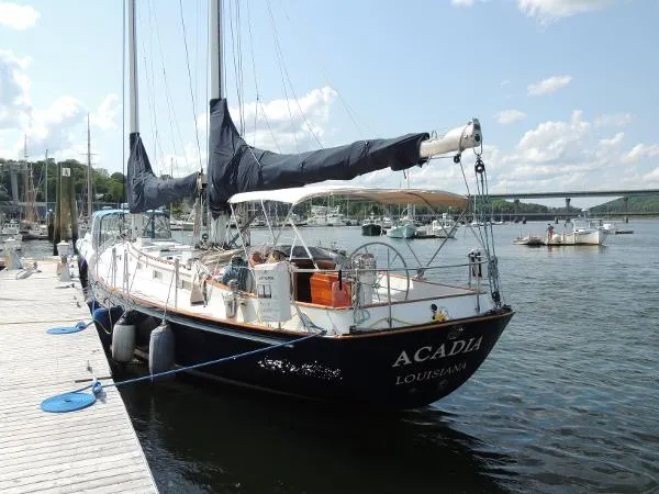 Slide: The Image of Lyman-Morse Cat Ketch 1984 - 5