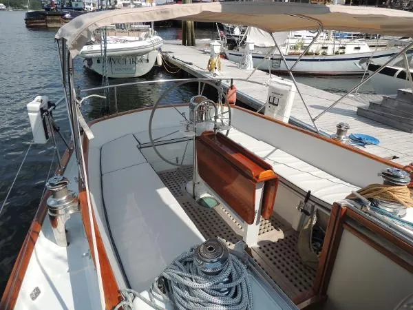Slide: The Image of Lyman-Morse Cat Ketch 1984 - 8