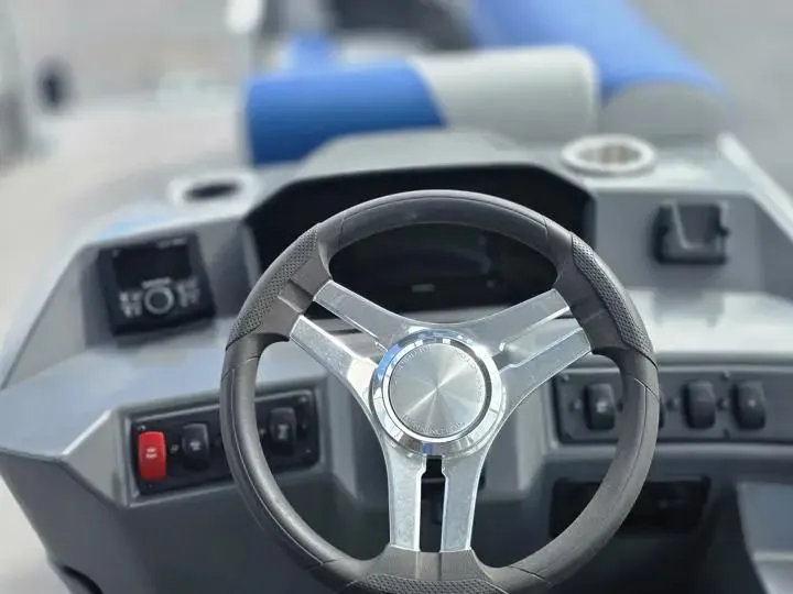 Slide: The Image of Bennington 20 SSR 2024 - 17