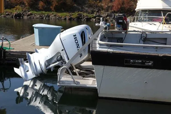 Slide: The Image of Tollycraft 27 Fishing 1977 - 9