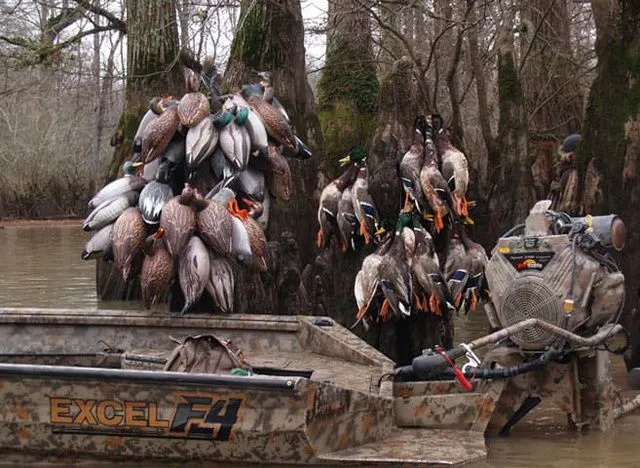 Slide: The Image of Excel 1754 Shallow Water F4 2026 - 9