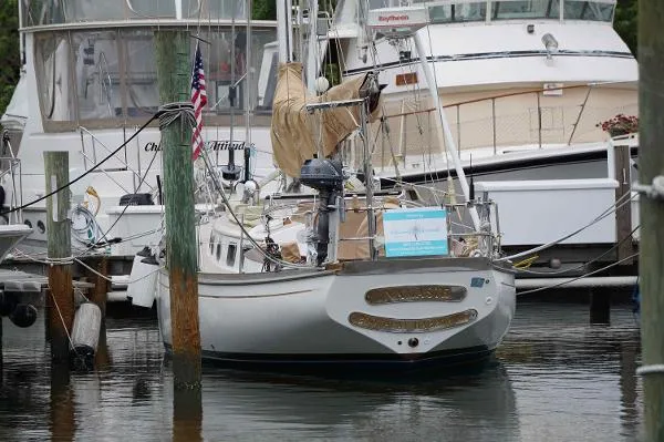 Slide: The Image of Shannon 38 Cutter 1985 - 1