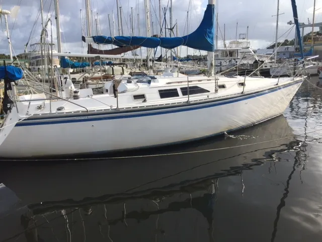 Slide: The Image of Hunter Sloop 1985 - 1