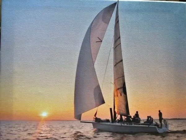 Slide: The Image of Farr 11s 2009 - 0