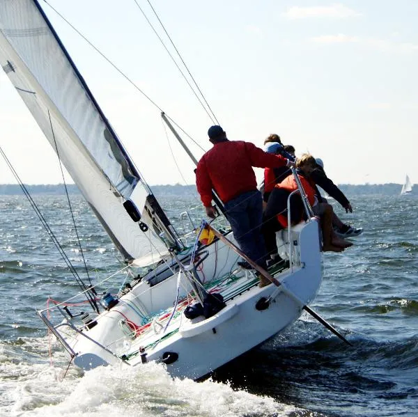 Slide: The Image of Farr 11s 2009 - 4