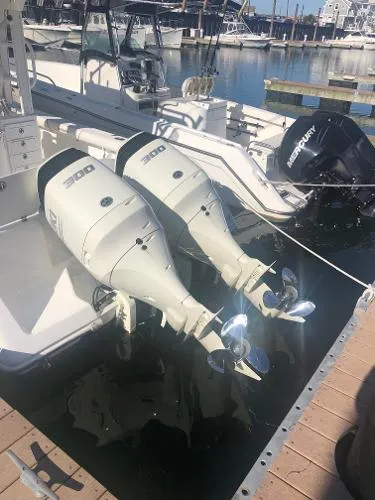 Slide: The Image of Everglades 290 Pilot 2007 - 2