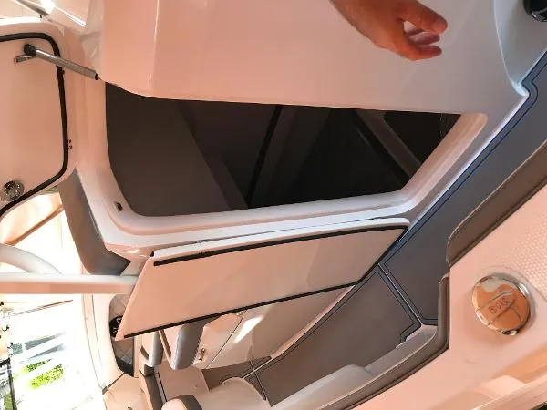 Slide: The Image of Renegade 33 2020 - 2