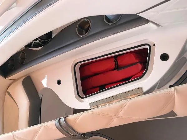 Slide: The Image of Renegade 33 2020 - 7