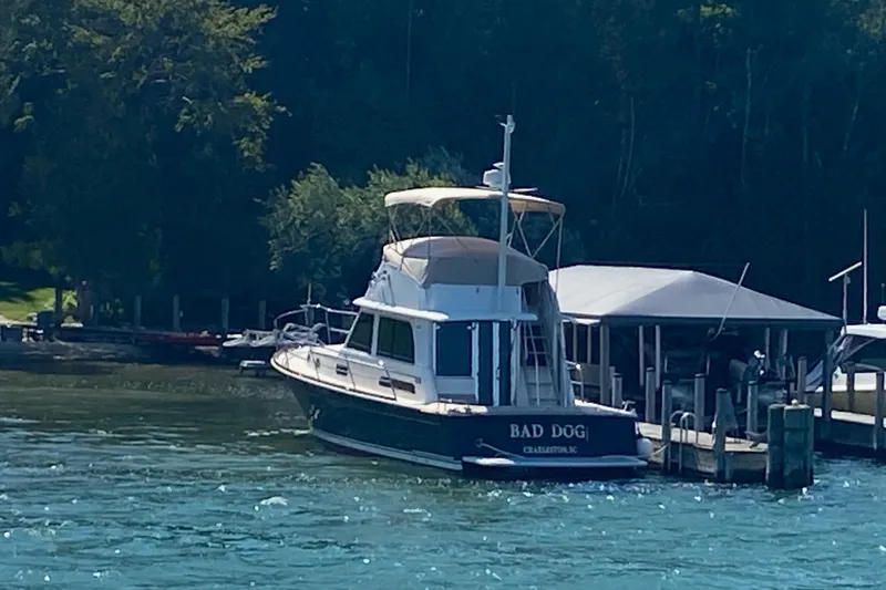 Slide: The Image of 2021 Sabre 42 Fly Bridge yacht named "Bad Dog" docked by the shore. - 8