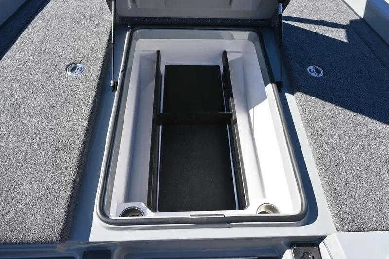 Slide: The Image of 2025 Caymas 201 Pro boat storage compartment with carpeted deck. - 8