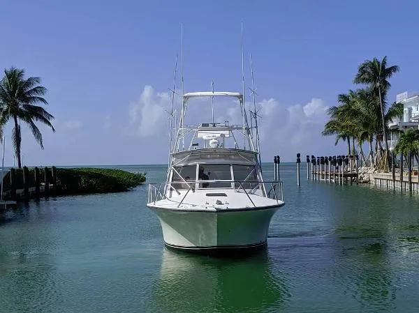 Slide: The Image of Carolina Express 2001 - 3