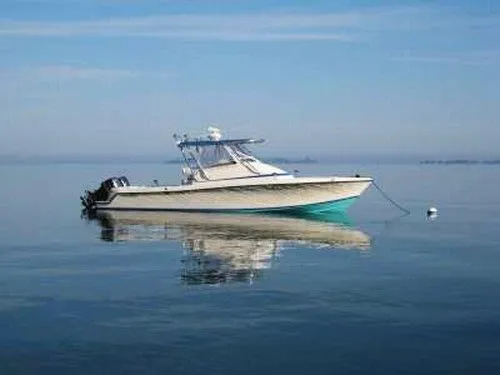 Slide: The Image of Contender 31 Fish Around Console Cuddy 1999 - 0