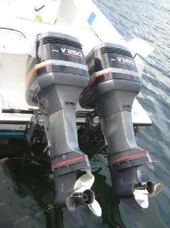 Slide: The Image of Contender 31 Fish Around Console Cuddy 1999 - 4