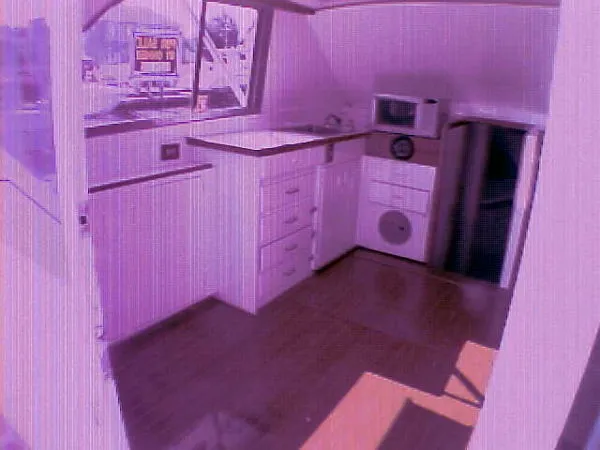 Slide: The Image of Bertram Sport Fisherman 1972 - 3