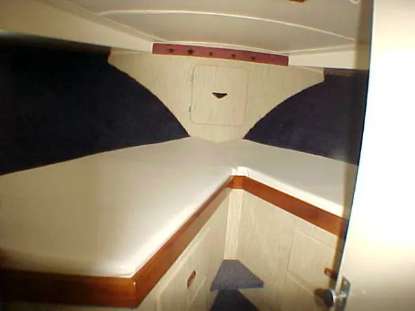 Slide: The Image of Bertram Sport Fisherman 1972 - 6