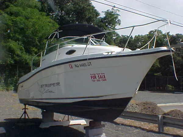 Slide: The Image of Seaswirl 2101 2004 - 0
