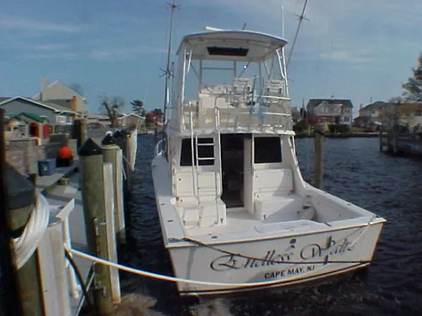 Slide: The Image of Cabo Flybridge 2004 - 1