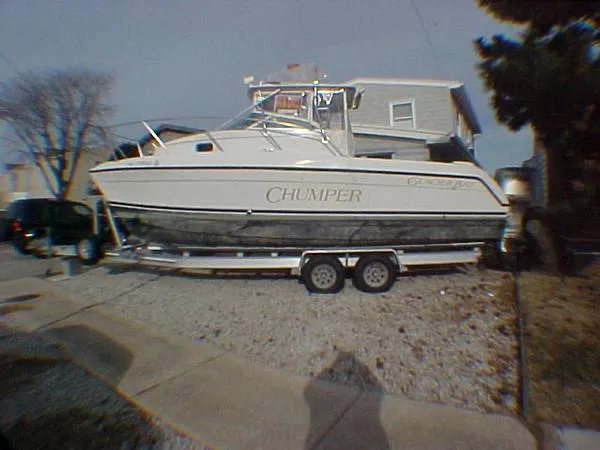 Slide: The Image of Glacier Bay 1999 2670 ISLAND RUNNER 1999 - 0