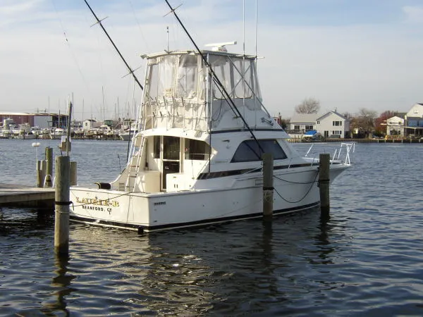 Slide: The Image of Bertram Sport Fisherman 1989 - 0
