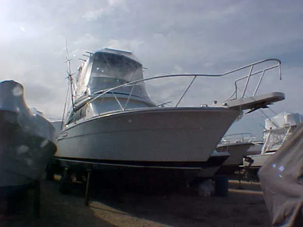 Slide: The Image of Bertram Sport Fisherman 1989 - 6