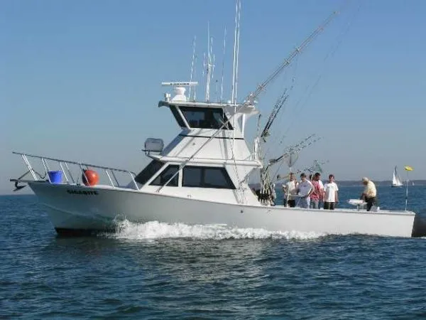 Slide: The Image of Torres 43 SPORTFISHERMAN 1996 - 0
