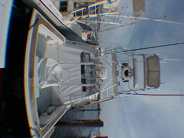 Slide: The Image of Black Watch 30 Sportfisherman 1989 - 5