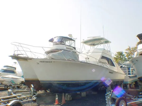 Slide: The Image of Ocean Yachts 42 Super Sport 1981 - 0
